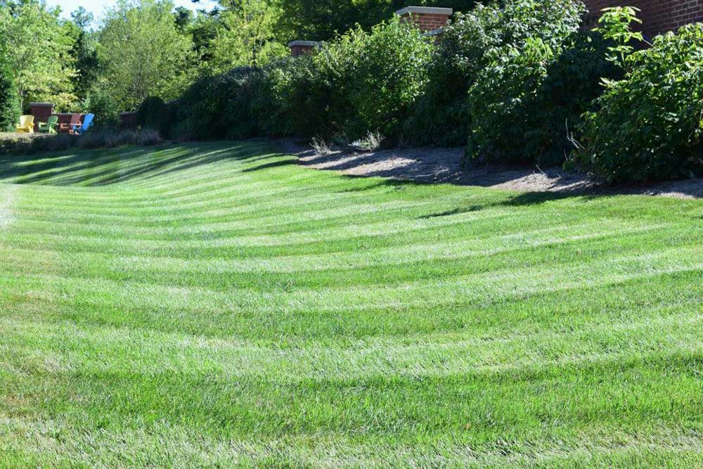 Knoxville lawn mowing and maintenance